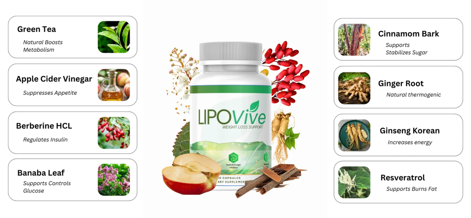 lipovive-Ingredients-List